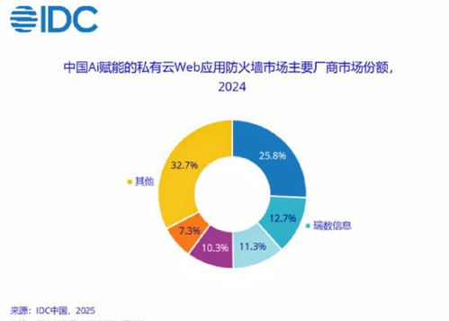 瑞數信息蟬聯(lián)idc中國ai賦能私有云waf市場份額top2